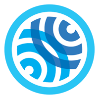 Net Impact Online Store